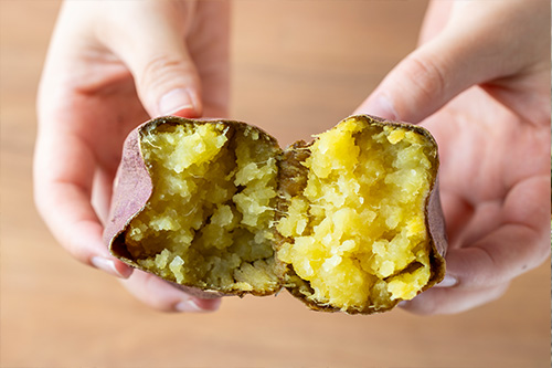 2025年10月25日(土)から10月31日(金)までの7日間、秋の恒例イベント「道の駅常総ハロウィン2025」