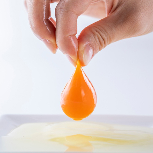 「大寒卵」の季節にちなんだ期間限定フェア&オープン1000日記念企画開催(期間:1/21~25)